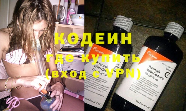 хмурый Алзамай