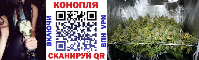 закладка  Ардон  Шишки марихуана VHQ 